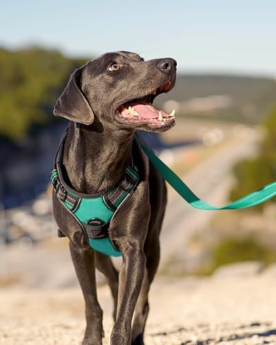 Joytale No Pull Dog Harness for Large Dogs, Front Clip - Image 6