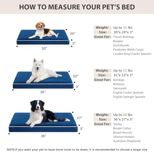 WNPETHOME Orthopedic Waterproof Large Sized Senior Dogs Bed - Image 5