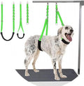 Dog Grooming Belly Strap by DISCPETSEC