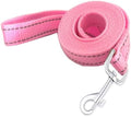Reflective Dog Leash 6FT Long, 5/8 Inch Wide, by TAIDA