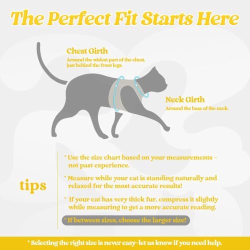 rabbitgoo Cat Harness and Leash Set, Step-in Soft Vest, Bright Yellow - Image 2