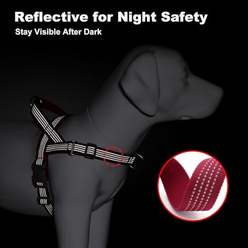 No Pull Dog Harness with Handle, Adjustable Soft Mesh Padded Vest - Image 7