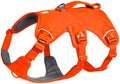 Ruffwear, Web Master Dog Body Harness, Blaze Orange, Large/X-Large by RuffwearInc