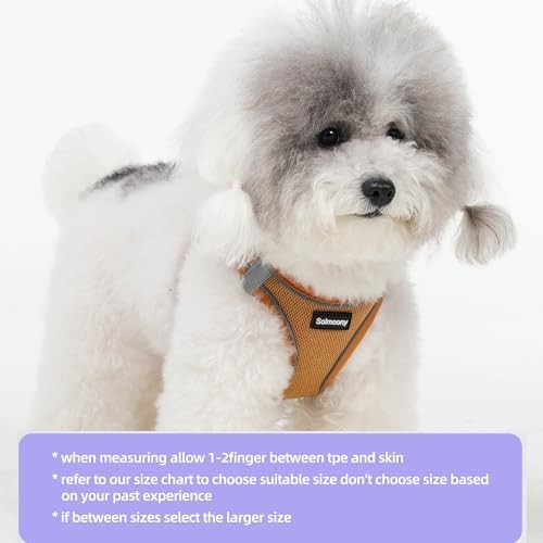 Solmoony Sparkly XS Dog Harness and Leash Set, Step in Soft Light Puppy Vest - Image 2