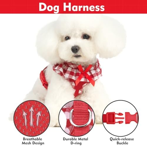 EXPAWLORER Step-in Dog Harness Small Sized Collar and Leash Set - Image 2