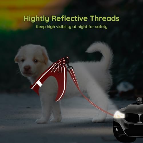 BELLA & PAL Step in Puppy Harness and Leash Set - Image 4