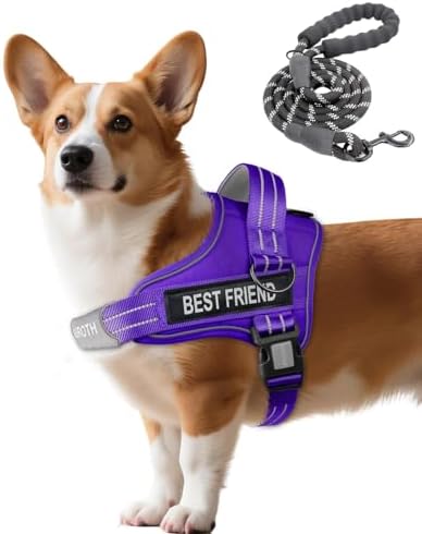 AUROTH Dog Harness and Leash Set Small Sized Dog, No Pull Escape Proof Vest by AurothPets