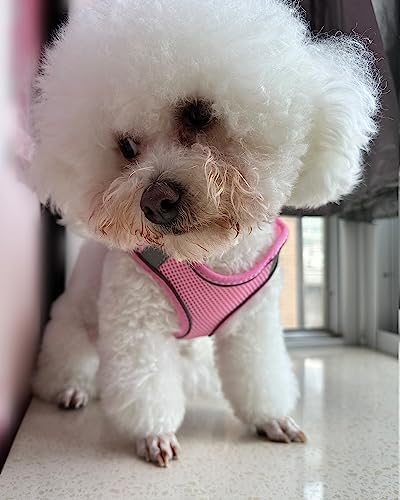 Solmoony Pink M Step-in Dog Harness & Leash Set, Vest - Image 2