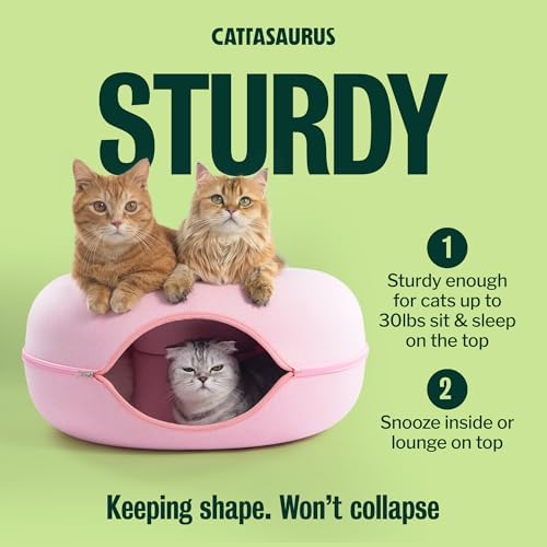 Cattasaurus Peekaboo Cat Cave Donut - Image 5