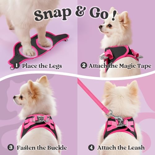 rabbitgoo Dog Harness Small Sized and Leash Set, Step in Soft Vest - Image 2