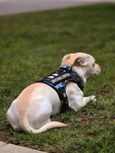 AUROTH Dog Harness for Small Medium Dogs, Tactical No Pull Dog Vest - Image 6