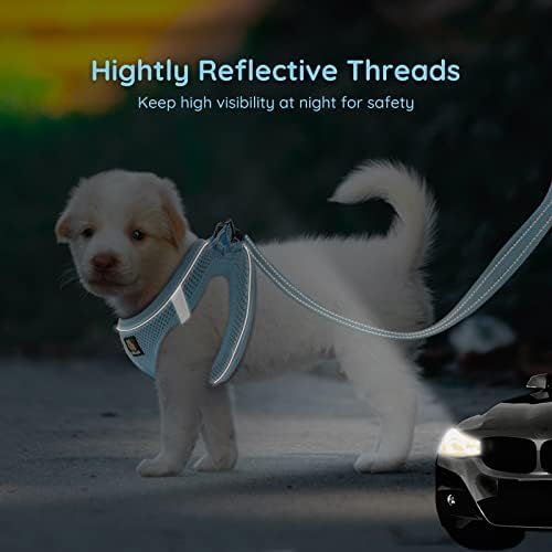 BELLA & PAL Step in Puppy Harness and Leash Set - Image 5