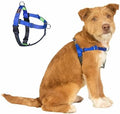 No Pull Dog Harness Front Clip by APDEXY%7CEspeciallyFurYou