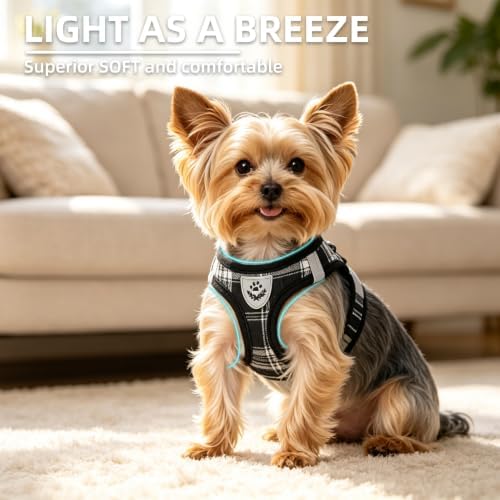 PUPTECK Dog Harness, Collar and Leash Set No Pull - Image 3
