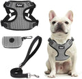 PUPTECK Dog Harness and Leash Set Medium Sized, Step in No Pull Adjustable by PUPTECK