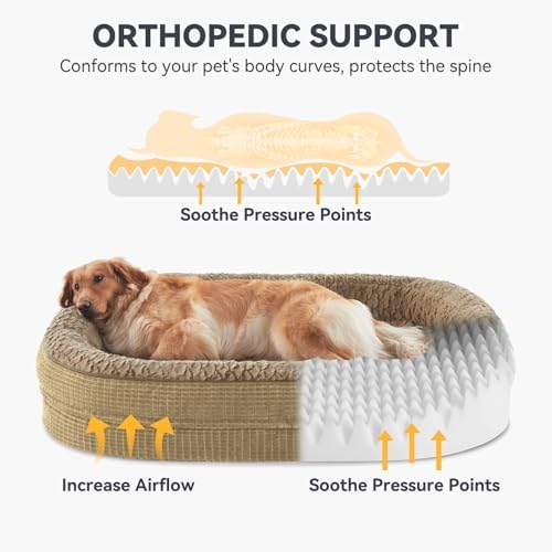 JOEJOY Orthopedic Dog Beds Large Sized Dog, XL Egg-Crate Memory Foam Pet Couch - Image 2