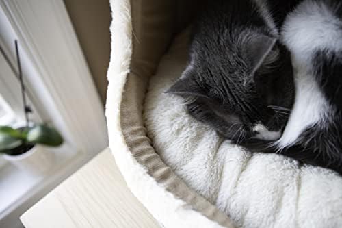 Best Pet Supplies Cat Bed for Indoor Cat, Domed Tent House - Image 5