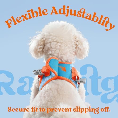 rabbitgoo Dog Harness Small Sized and Leash Set, Step in Soft Vest - Image 6
