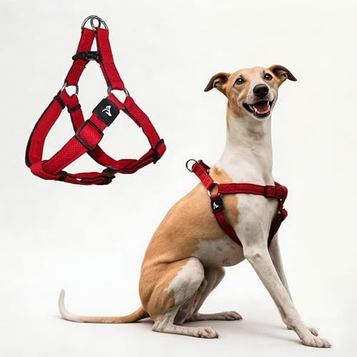 Kruz No Pull Dog Harness Heavy-Duty Pet Harness by KRUZPET