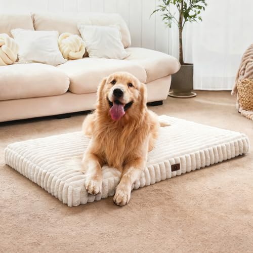Medium Dog Bed Orthopedic Foam by Cozila