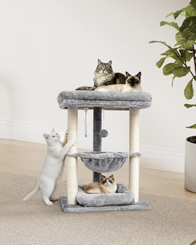 SYANDLVY Small Cat Tree for Indoor Cats - Image 2