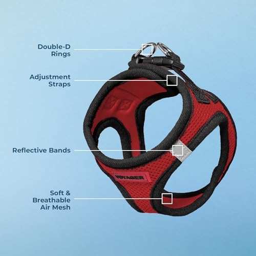 Best Pet Supplies Voyager Step-in Air Harness - Image 3