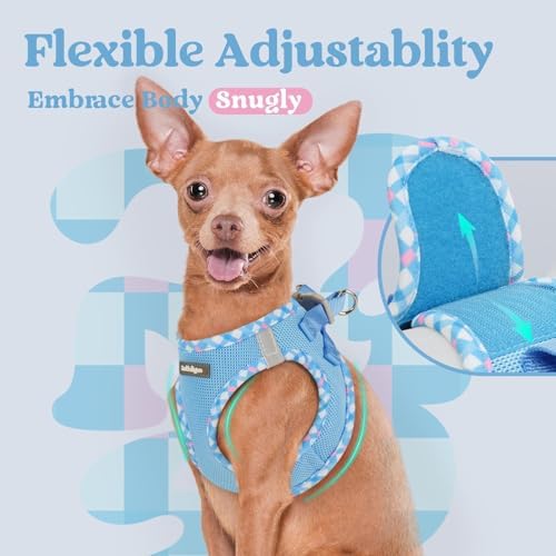 rabbitgoo Step-in Small Dog Harness, Puppy Vest - Image 6