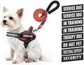 Service Dog Vest Harness and Leash Set, Animire in Training Dog Harness by Animire
