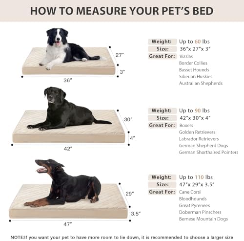 WNPETHOME Orthopedic XXL Dog Beds - Image 5