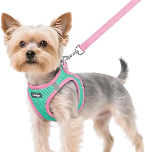 rabbitgoo Dog Harness Small Sized and Leash Set, Step in Soft Vest by rabbitgoo
