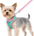 rabbitgoo Dog Harness Small Sized and Leash Set, Step in Soft Vest by rabbitgoo