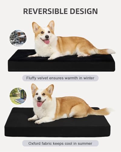 KSIIA Orthopedic Dog Bed for Small Dogs - Image 4