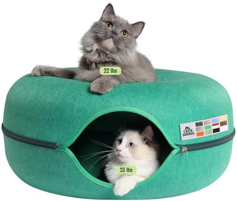 Cattasaurus Peekaboo Cat Cave Donut by Cattasaurus