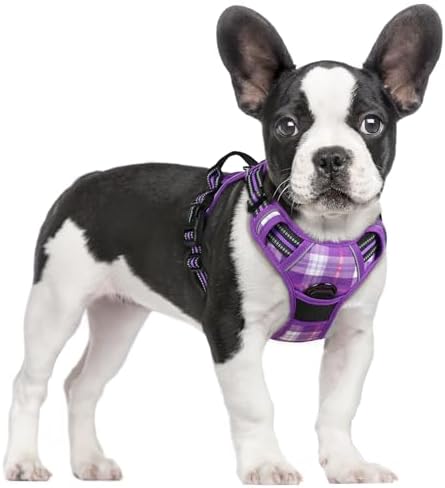 rabbitgoo Dog Harness, No Pull for Small Dogs by rabbitgoo