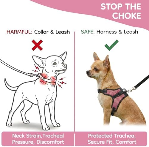 No Pull Reflective Adjustable Dog Harness - Image 5