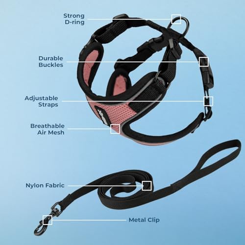 Voyager Step-in Lock Cat Harness & Leash Set - Image 3
