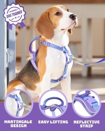 DF Freedom No Pull Martingale Dog Harness, Gentle Control - Image 2