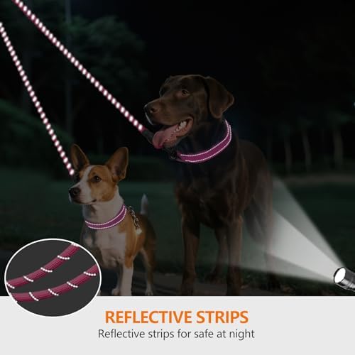 Taglory Double Dog Leash Coupler - Image 4