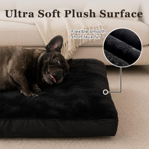 NUPIDA Waterproof Small Dog Bed - Image 3