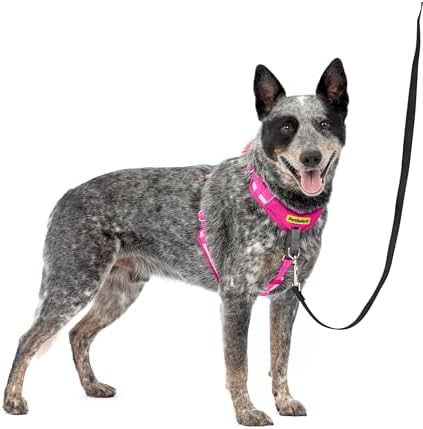 PetSafe Easy Walk Comfort No Pull Dog Harness by PetSafe
