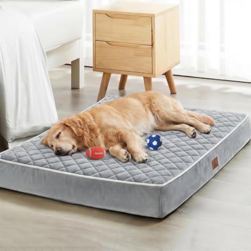 WNPETHOME Orthopedic XXL Dog Beds by WNPETHOMEPETSHOME