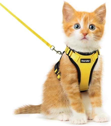 Dooradar Cat Harness and Leash Set, Adjustable and Escape Proof by Dooradar