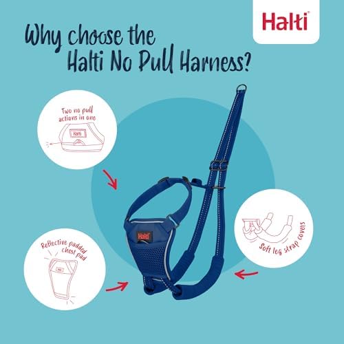 Halti No Pull Dog Harness | Size L, Cobalt Blue - Image 3