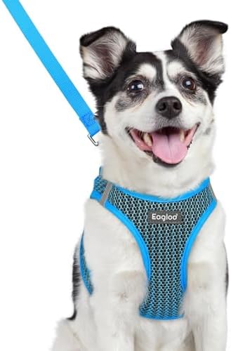 Eagloo Small Dog Harness and Leash Set, Step in Medium Small Puppy Pet Vest by GoExplorewithEagloo