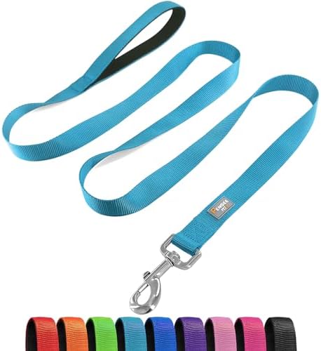 6 FT Reflective Dog Leash for Large Dogs, Sky Blue by Penseepet