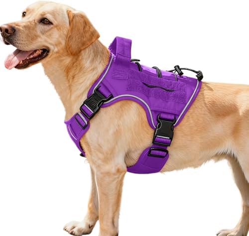 Heavy-Duty Tactical Dog Harness by Bruvoalon
