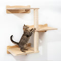 Cat Wall Shelves, 3-Tier Cat Shelves by Unknown