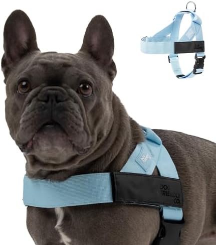Dog Friendly Co. Dog Harness for Small Dogs by DogFriendly