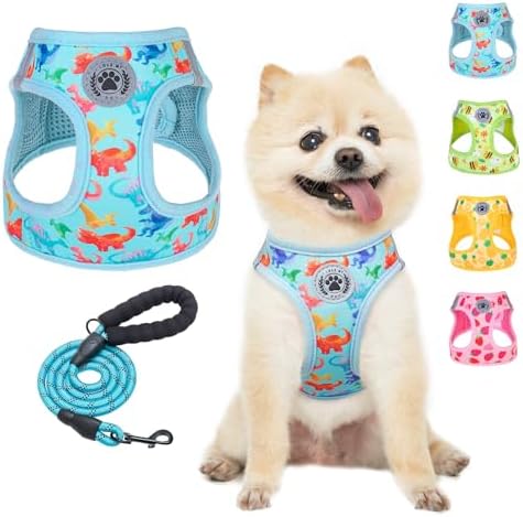BEAUTYZOO Dog Harness Medium Sized and Leash Set, No Pull Pet Vest-Dinosaurs by BEAUTYZOO