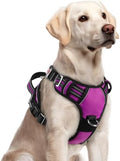 rabbitgoo Dog Harness for Large, No Pull 3 Buckles Easy On & Off by rabbitgoo